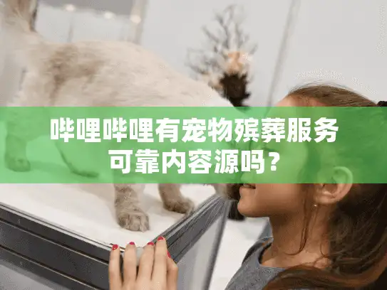 哔哩哔哩有宠物殡葬服务可靠内容源吗？