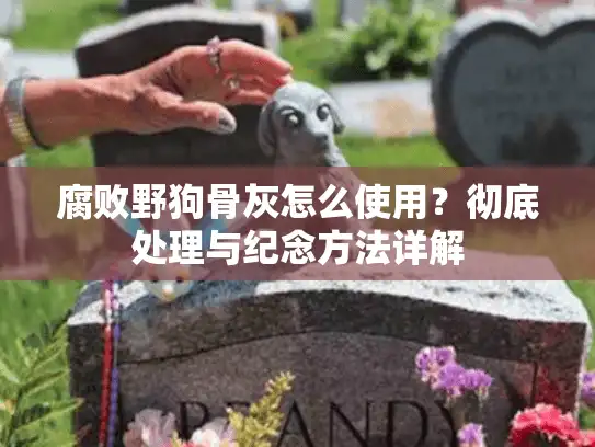 腐败野狗骨灰怎么使用？彻底处理与纪念方法详解