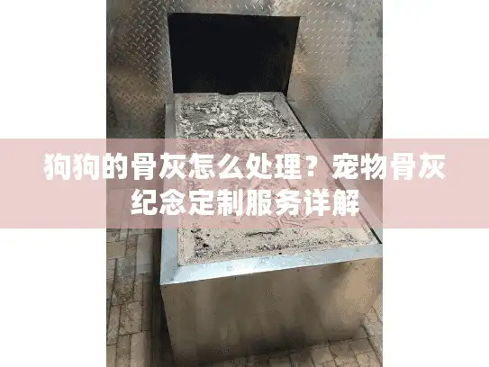 狗狗的骨灰怎么处理？宠物骨灰纪念定制服务详解