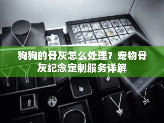 狗狗的骨灰怎么处理？宠物骨灰纪念定制服务详解