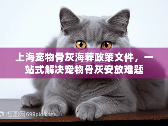 上海宠物骨灰海葬政策文件，一站式解决宠物骨灰安放难题