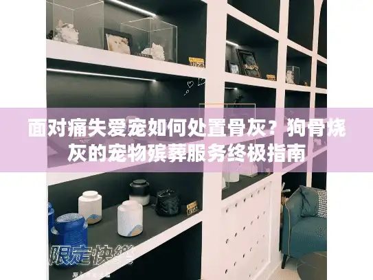 面对痛失爱宠如何处置骨灰？狗骨烧灰的宠物殡葬服务终极指南