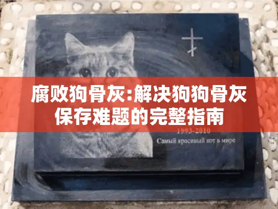 腐败狗骨灰:解决狗狗骨灰保存难题的完整指南