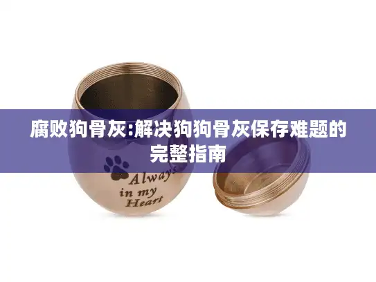 腐败狗骨灰:解决狗狗骨灰保存难题的完整指南