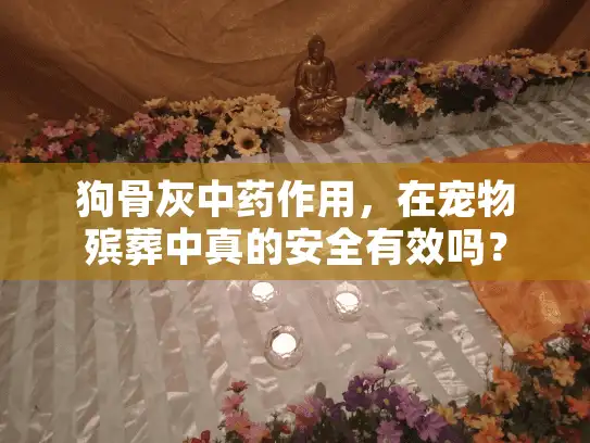 狗骨灰中药作用，在宠物殡葬中真的安全有效吗？