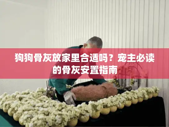 狗狗骨灰放家里合适吗？宠主必读的骨灰安置指南