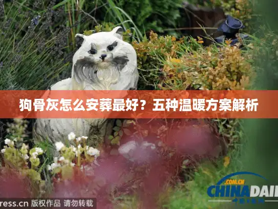 狗骨灰怎么安葬最好？五种温暖方案解析