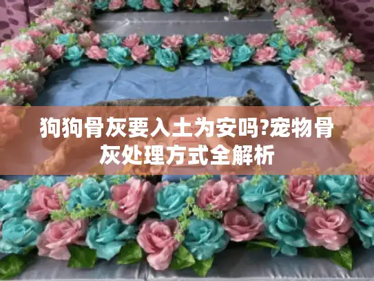 狗狗骨灰要入土为安吗?宠物骨灰处理方式全解析