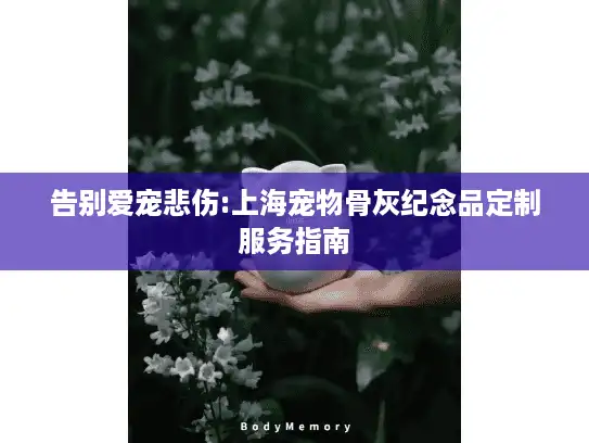 告别爱宠悲伤:上海宠物骨灰纪念品定制服务指南