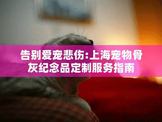 告别爱宠悲伤:上海宠物骨灰纪念品定制服务指南