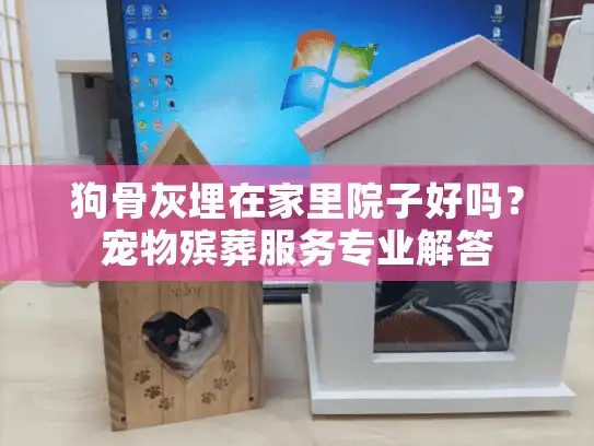 狗骨灰埋在家里院子好吗？宠物殡葬服务专业解答