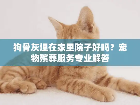 狗骨灰埋在家里院子好吗？宠物殡葬服务专业解答