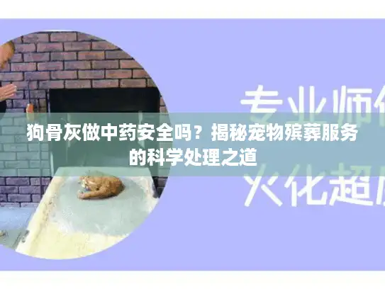 狗骨灰做中药安全吗？揭秘宠物殡葬服务的科学处理之道