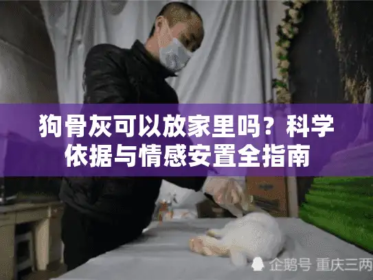 狗骨灰可以放家里吗？科学依据与情感安置全指南