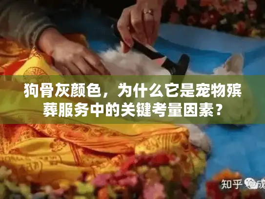 狗骨灰颜色，为什么它是宠物殡葬服务中的关键考量因素？