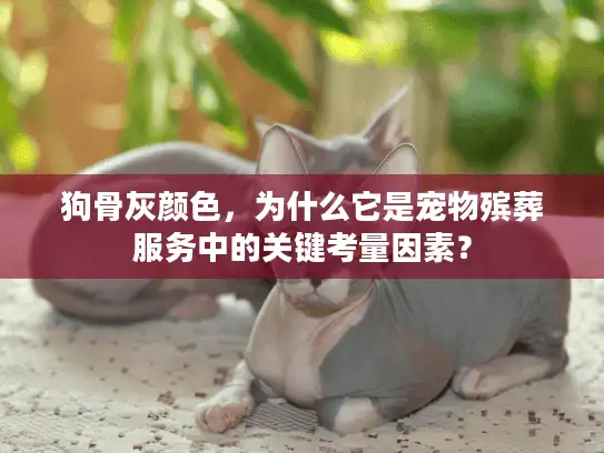 狗骨灰颜色，为什么它是宠物殡葬服务中的关键考量因素？