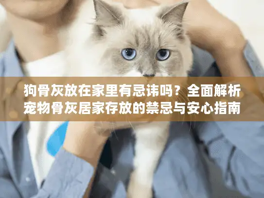 狗骨灰放在家里有忌讳吗？全面解析宠物骨灰居家存放的禁忌与安心指南