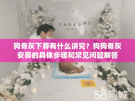 狗骨灰下葬有什么讲究？狗狗骨灰安葬的具体步骤和常见问题解答