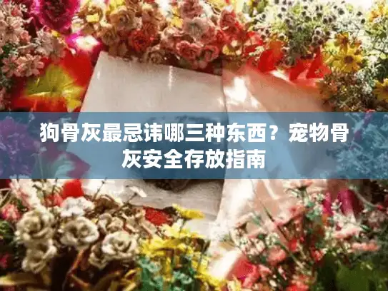 狗骨灰最忌讳哪三种东西？宠物骨灰安全存放指南