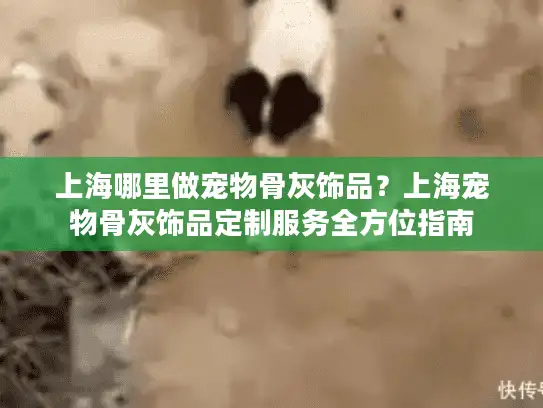 上海哪里做宠物骨灰饰品？上海宠物骨灰饰品定制服务全方位指南