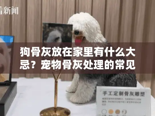狗骨灰放在家里有什么大忌？宠物骨灰处理的常见问题全解答