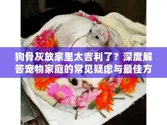 狗骨灰放家里太吉利了？深度解答宠物家庭的常见疑虑与最佳方案