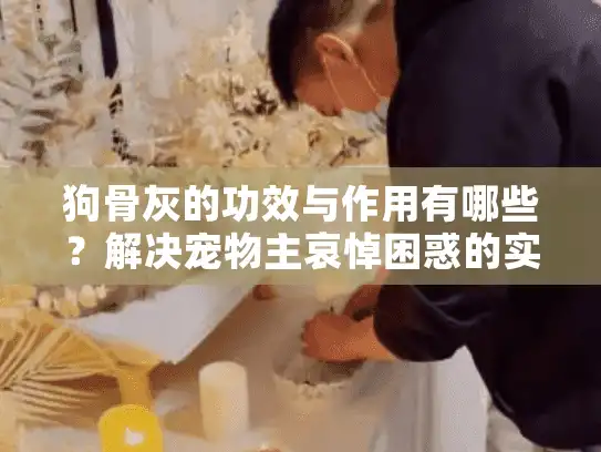 狗骨灰的功效与作用有哪些？解决宠物主哀悼困惑的实际指南