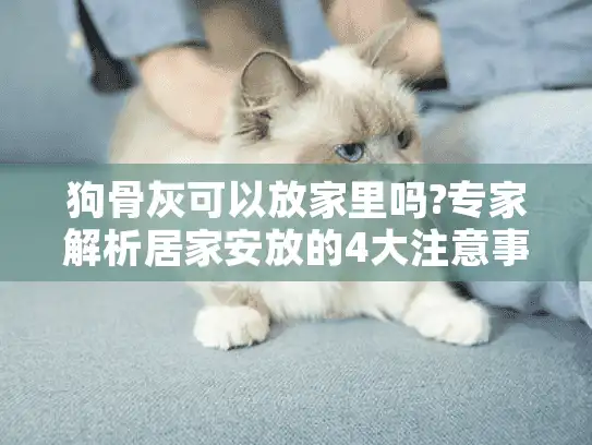 狗骨灰可以放家里吗?专家解析居家安放的4大注意事项