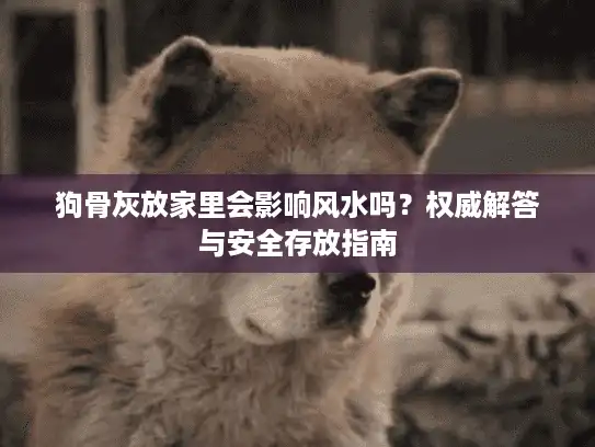 狗骨灰放家里会影响风水吗？权威解答与安全存放指南