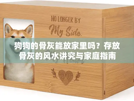 狗狗的骨灰能放家里吗？存放骨灰的风水讲究与家庭指南