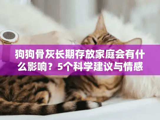 狗狗骨灰长期存放家庭会有什么影响？5个科学建议与情感指南