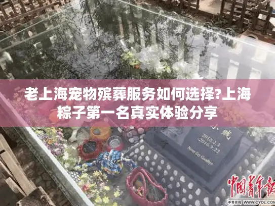 老上海宠物殡葬服务如何选择?上海粽子第一名真实体验分享