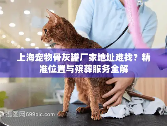 上海宠物骨灰罐厂家地址难找？精准位置与殡葬服务全解