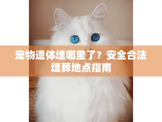 宠物遗体埋哪里了？安全合法埋葬地点指南