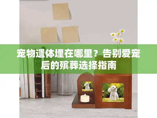 宠物遗体埋在哪里？告别爱宠后的殡葬选择指南