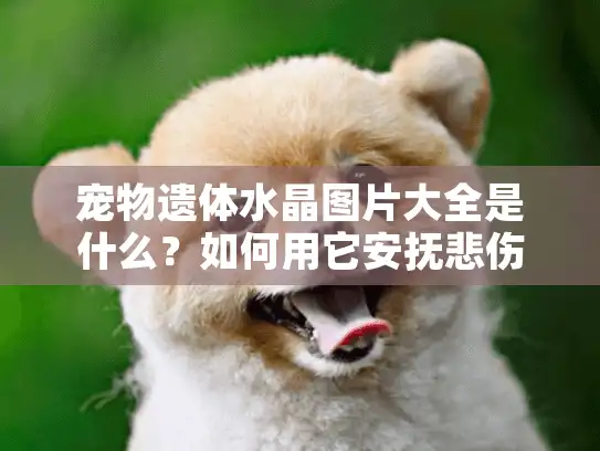 宠物遗体水晶图片大全是什么？如何用它安抚悲伤的心？