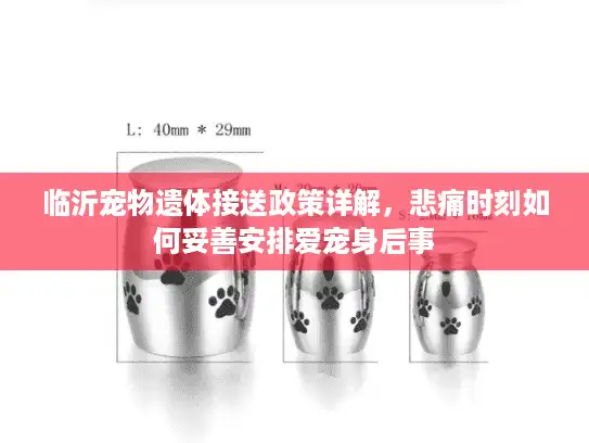 临沂宠物遗体接送政策详解，悲痛时刻如何妥善安排爱宠身后事