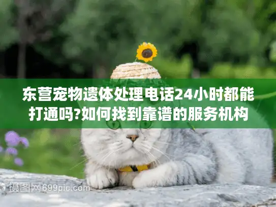 东营宠物遗体处理电话24小时都能打通吗?如何找到靠谱的服务机构