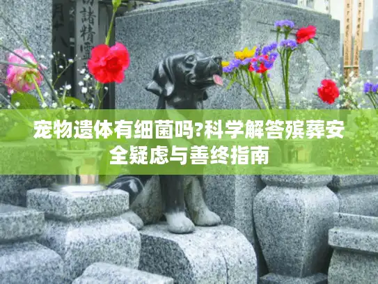 宠物遗体有细菌吗?科学解答殡葬安全疑虑与善终指南