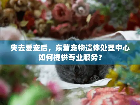 失去爱宠后，东营宠物遗体处理中心如何提供专业服务？