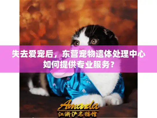 失去爱宠后，东营宠物遗体处理中心如何提供专业服务？