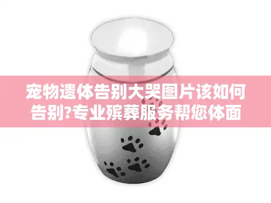 宠物遗体告别大哭图片该如何告别?专业殡葬服务帮您体面送别