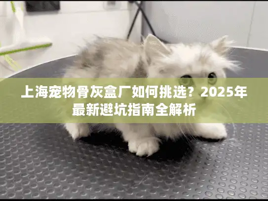 上海宠物骨灰盒厂如何挑选？2025年最新避坑指南全解析