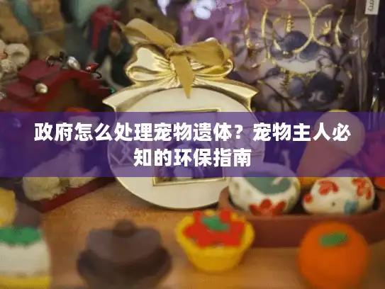 政府怎么处理宠物遗体？宠物主人必知的环保指南