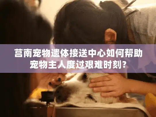 莒南宠物遗体接送中心如何帮助宠物主人度过艰难时刻？