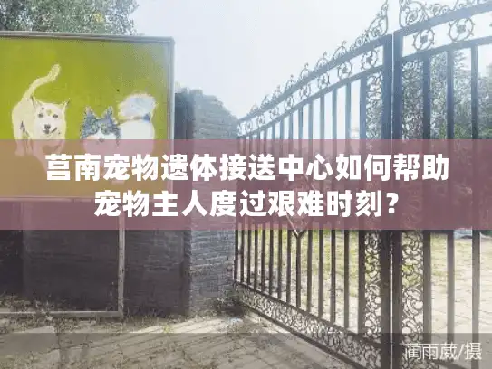莒南宠物遗体接送中心如何帮助宠物主人度过艰难时刻？