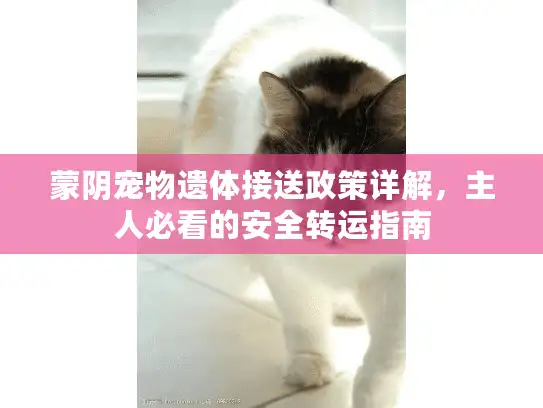 蒙阴宠物遗体接送政策详解，主人必看的安全转运指南