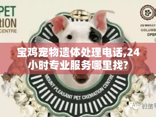 宝鸡宠物遗体处理电话,24小时专业服务哪里找?