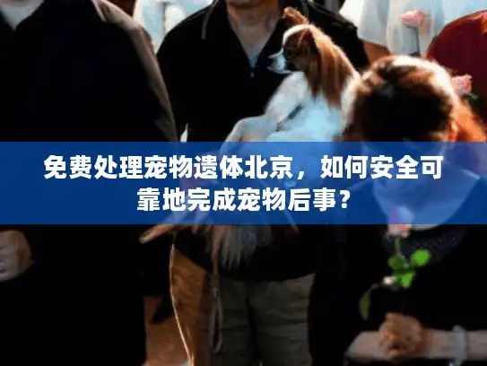 免费处理宠物遗体北京，如何安全可靠地完成宠物后事？
