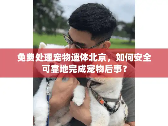 免费处理宠物遗体北京，如何安全可靠地完成宠物后事？